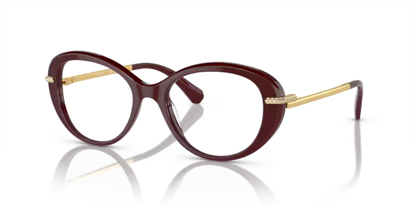 SWAROVSKI – Vision Point Optician