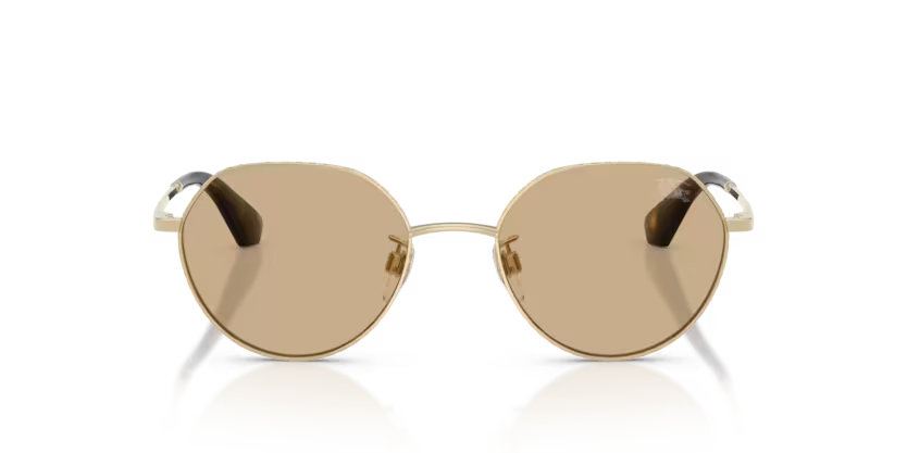 Burberry Metal Check 0BE3173D 110973 Polished Light Gold Luxury Round Dark Brown Sunglasses