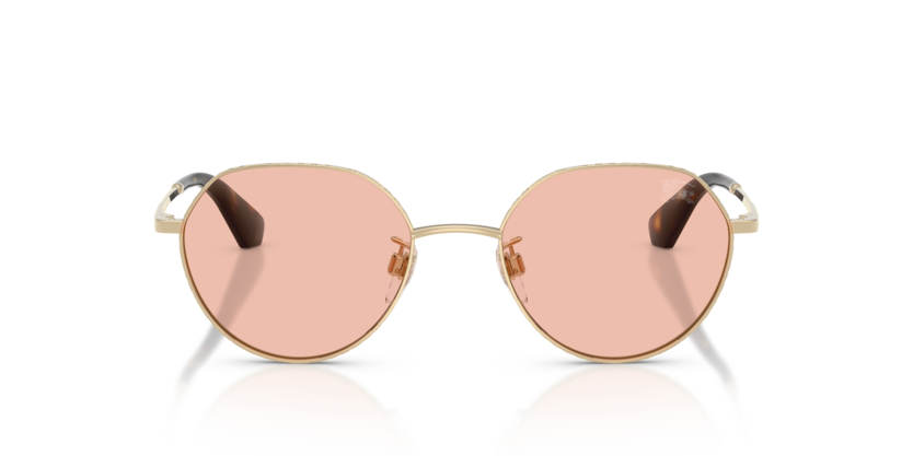 Burberry Metal Check 0BE3173D 110984 Polished Light Gold Luxury Round Dark Pink Sunglasses