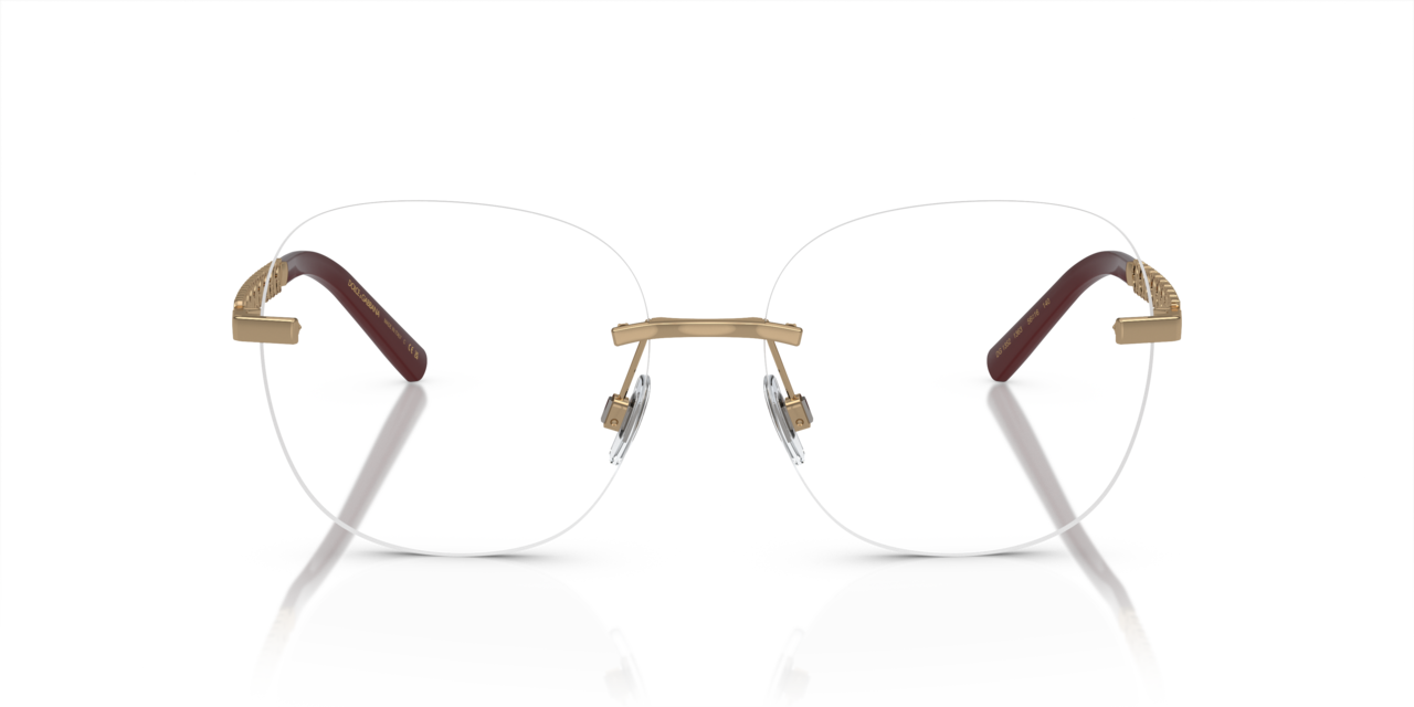 Dolce & Gabbana 0DG1352 1363