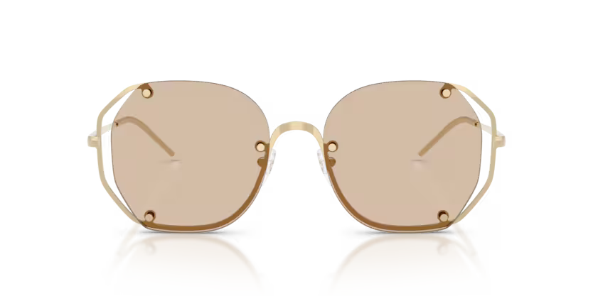 EMPORIO ARMANI 0EA2168 301393 Shiny Pale Gold