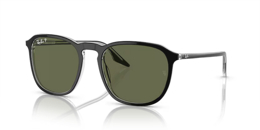 Ray-Ban 0RB2203 919/58