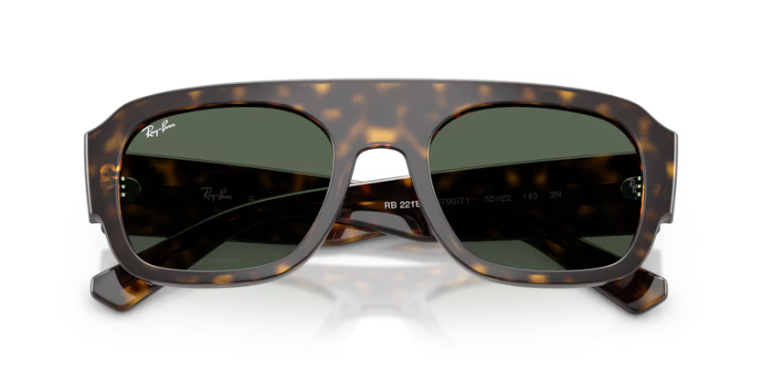 Ray-Ban 0RB2218 679071 Havana Moulded Acetate Irregular Sunglasses