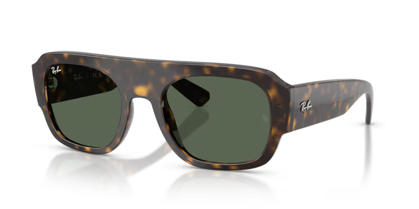 Ray-Ban 0RB2218 679071 Havana Moulded Acetate Irregular Sunglasses