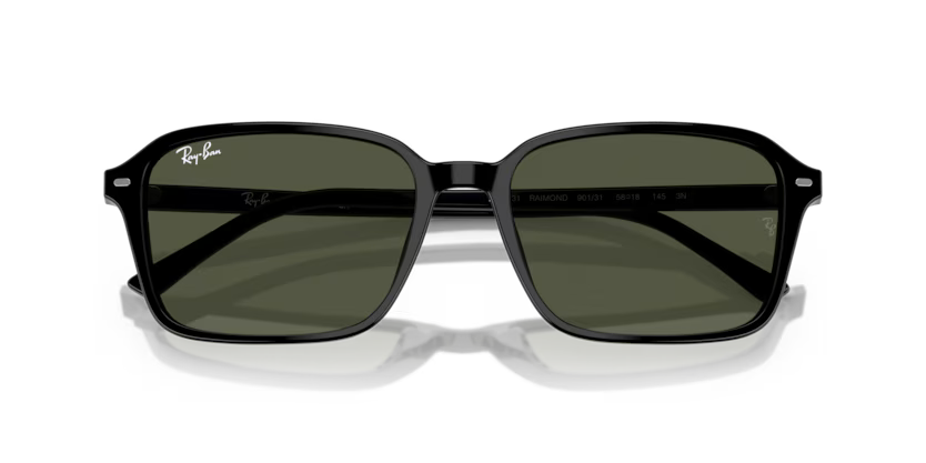 Ray-Ban 0RB2231 Raimond 901/31