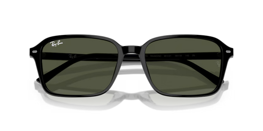 Ray-Ban 0RB2231 Raimond 901/31