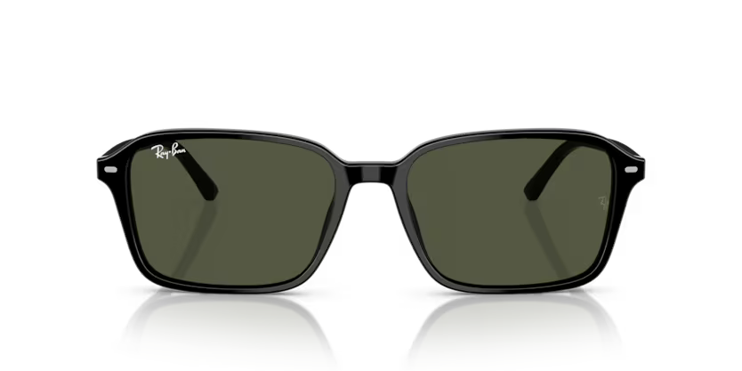 Ray-Ban 0RB2231 Raimond 901/31