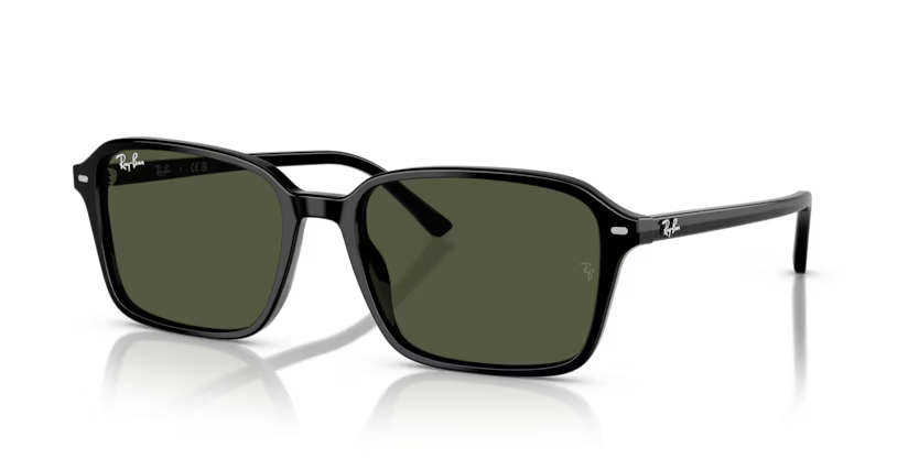 Ray-Ban 0RB2231 Raimond 901/31