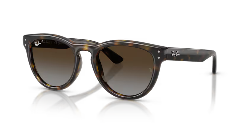 Ray-Ban 0RB2237 Color 710/T5 Polished Havana Propionate Frame with Polarized Light Grey Gradient Brown Lenses