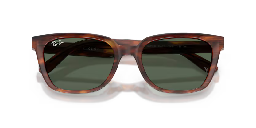 Ray-Ban 0RB2243D Color 954/71 Polished Striped Havana Acetate Frame with Dark Green Polyamide Bio Lenses