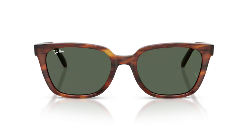 Ray-Ban 0RB2243D Color 954/71 Polished Striped Havana Acetate Frame with Dark Green Polyamide Bio Lenses
