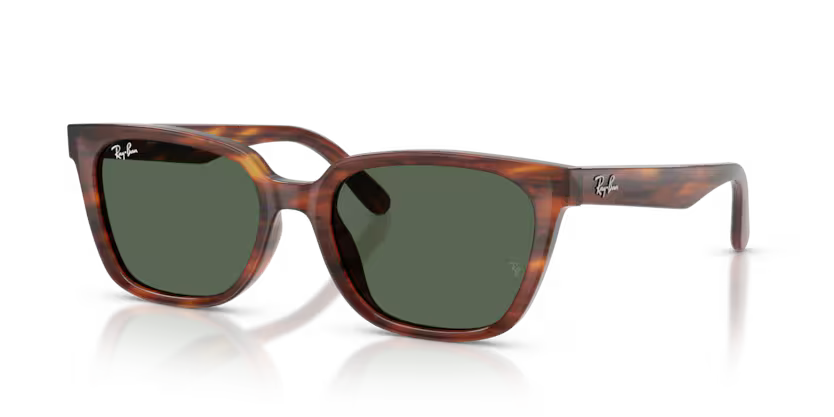 Ray-Ban 0RB2243D Color 954/71 Polished Striped Havana Acetate Frame with Dark Green Polyamide Bio Lenses