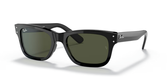 Ray-Ban 0RB2283 901/31
