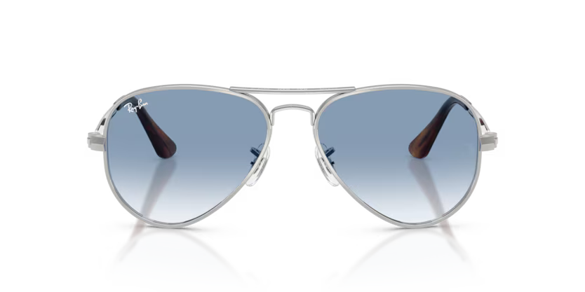 Ray-Ban 0RB3925 Aviator Max 003/3F – Silver