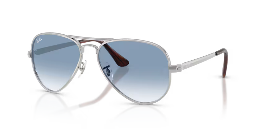 Ray-Ban 0RB3925 Aviator Max 003/3F – Silver