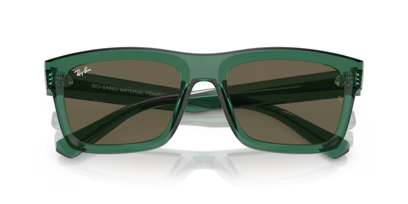 Ray-Ban Warren 0RB4396 6681/3 – Transparent Green