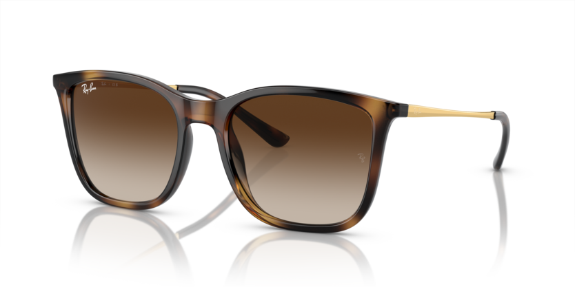 Ray-Ban 0RB4410I 710/13