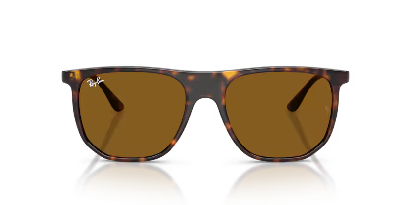 Ray-Ban 0RB4480I 710/33 Havana Nylon Irregular Geometric Sunglasses with Crystal Brown Lenses