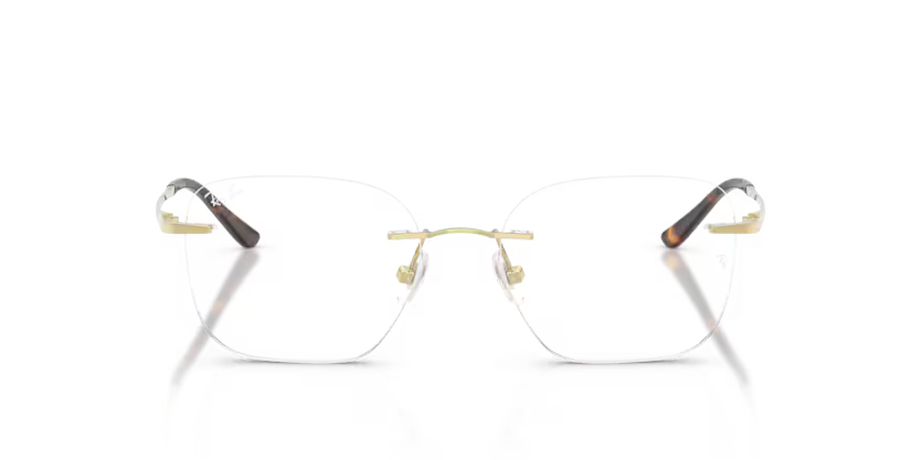 Ray-Ban 0RX8783D 1251