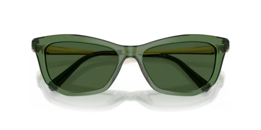 Swarovski 0SK6057 108571 Polished Transparent Green Cat Eye Sunglasses