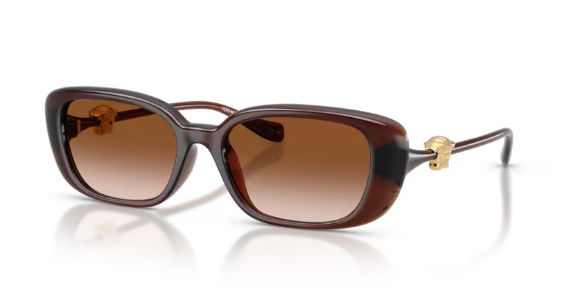 VERSACE 0VE4504D 533213 - Transparent Brown (Size 56)